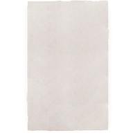 24 x 39" Handmade Sekishu Paper (5 Sheets)