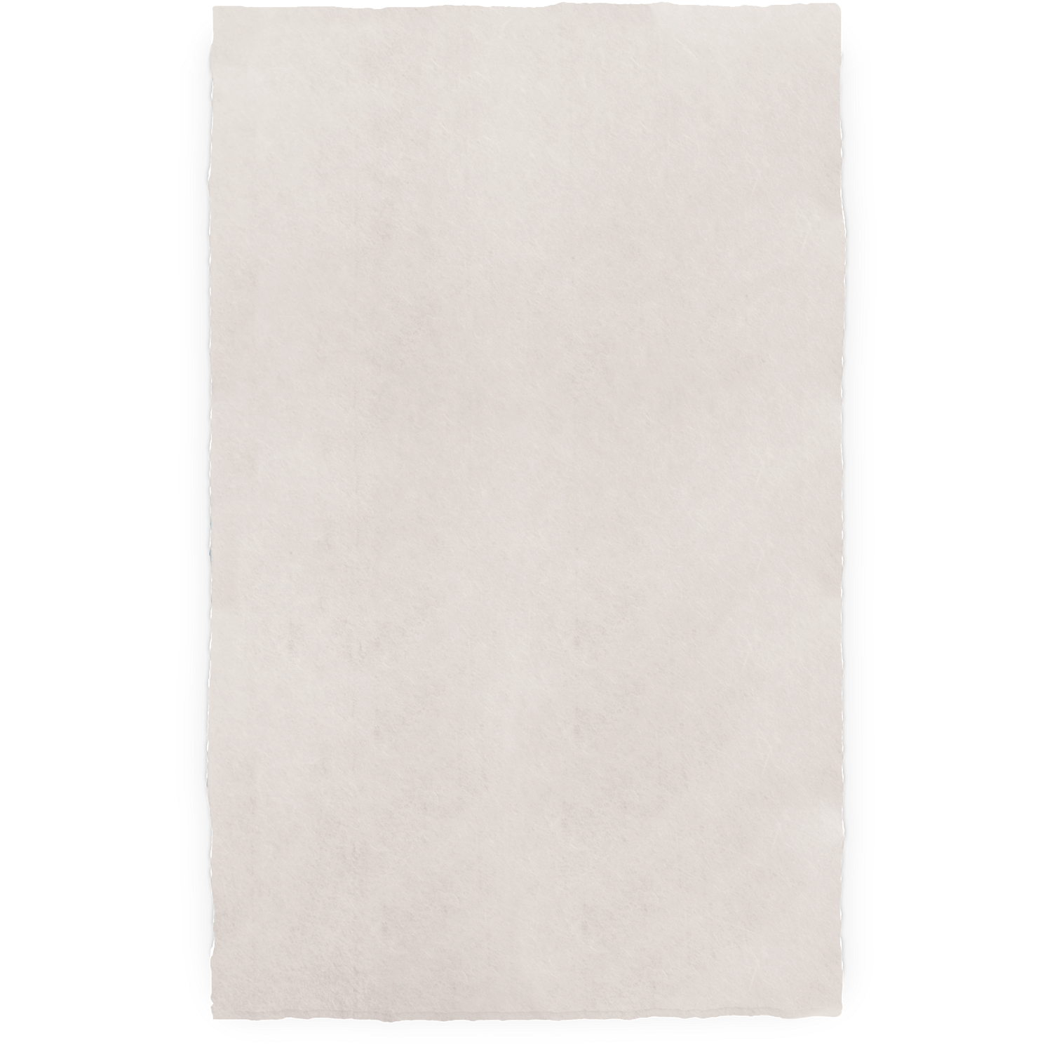 24 x 39" Handmade Sekishu Paper (5 Sheets)