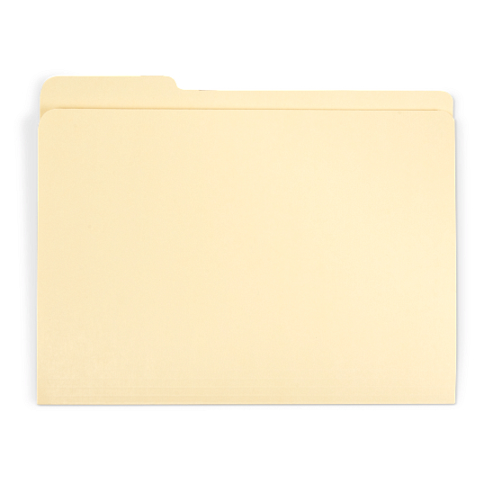 Gaylord Archival&#174; Reinforced Third-Cut Tab International A4 Size File Folders (100-Pack)