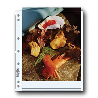 Print File® 8 mil Polypropylene Album Pages for 8 x 10" Prints (25-Pack) Print File® 8 mil Polypropylene Album Pages for 8 x 10" Prints (25-Pack)
