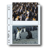 Print File® 8 mil Polypropylene Album Pages for 5 x 7" Prints (25-Pack) Print File® 8 mil Polypropylene Album Pages for 5 x 7" Prints (25-Pack)