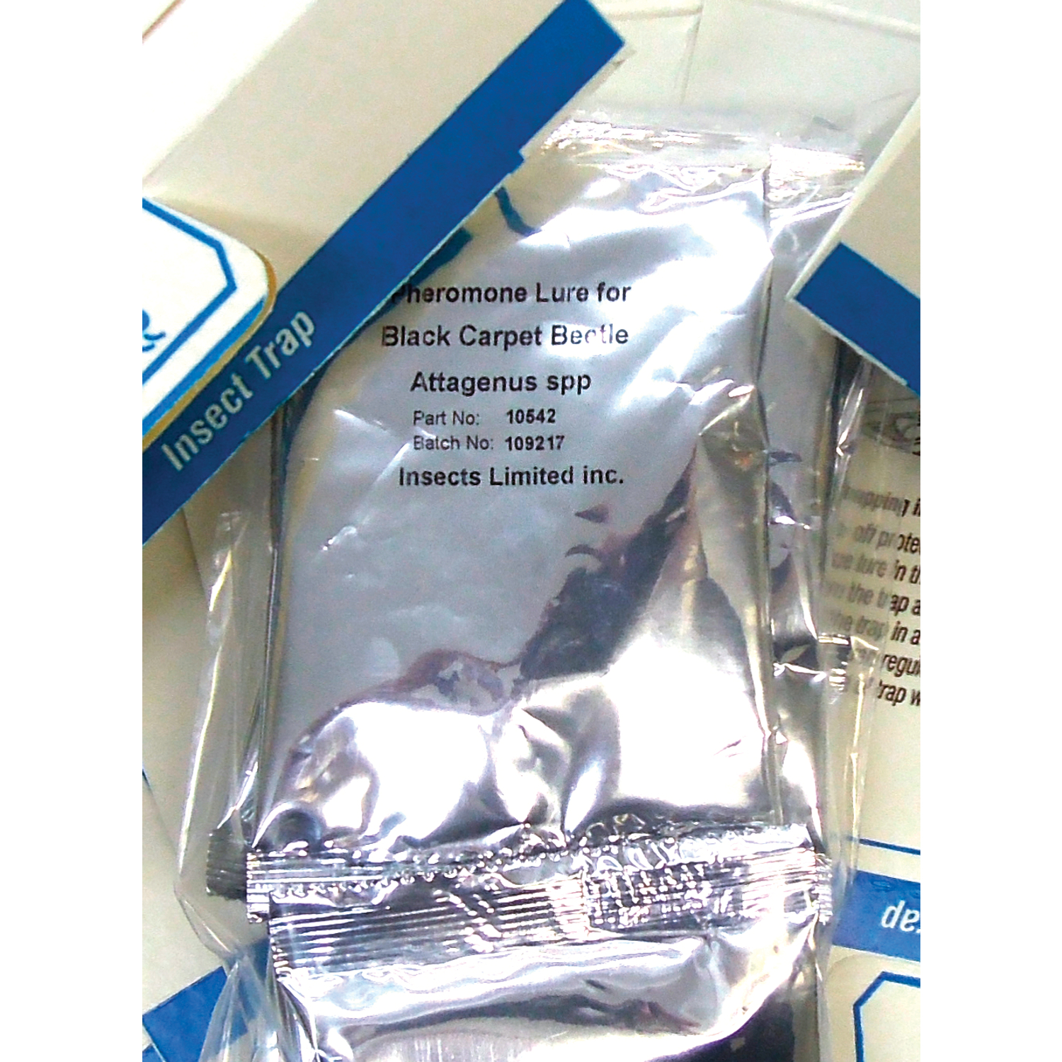 Black Carpet Beetle Pheromone Lures (10-Pack)