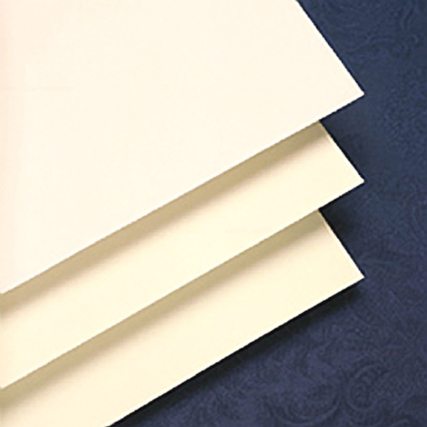 Gaylord Archival® Unbuffered 10 pt. Folder Stock (100-Pack)