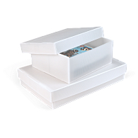 Gaylord Archival® Corrugated Polypropylene Shallow Lid Multipurpose Box Gaylord Archival® Corrugated Polypropylene Shallow Lid Multipurpose Box