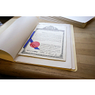 Yellow file folder not included