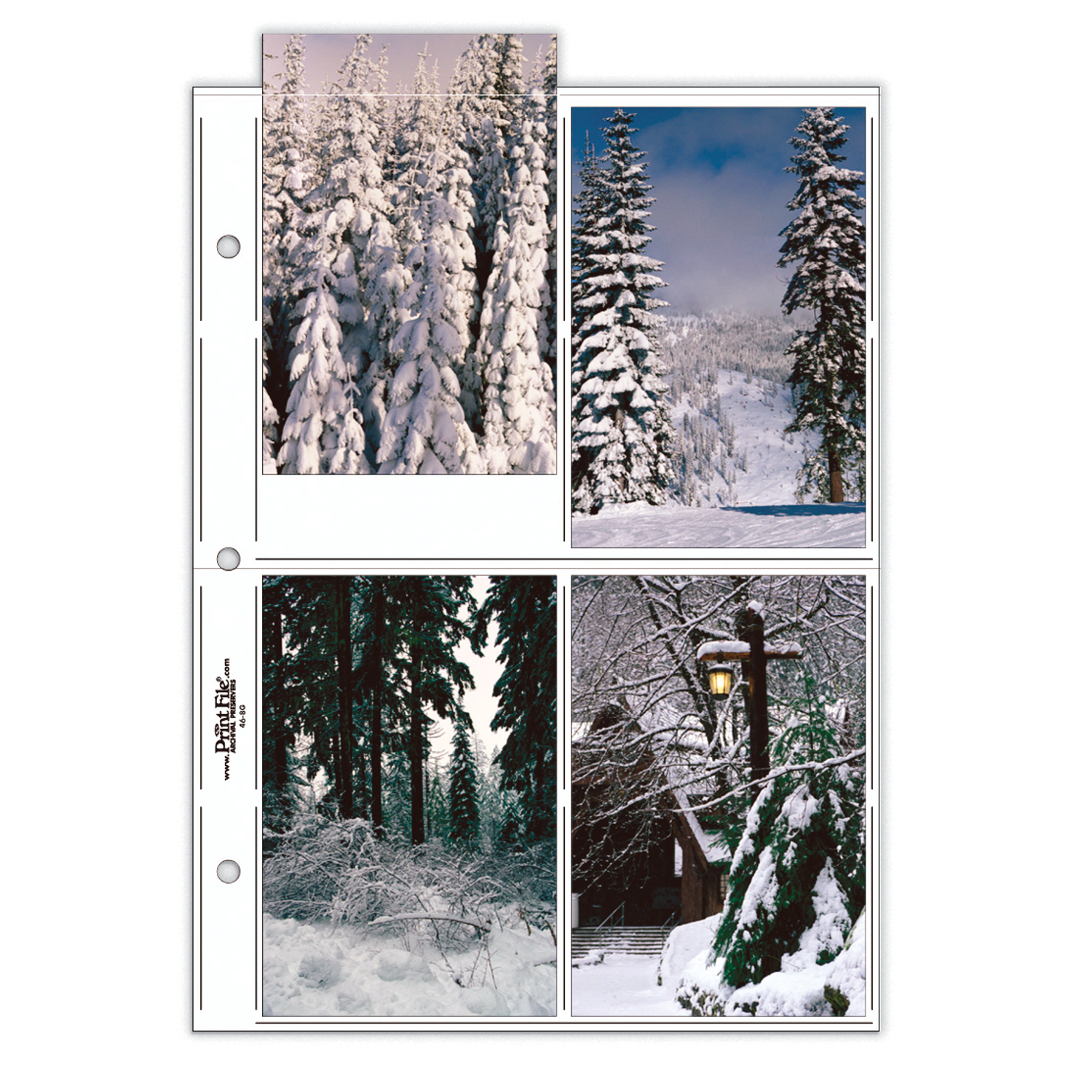 Print File® 8 mil Polypropylene Oversize Album Pages for 4 x 6" Prints (25-Pack)
