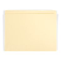 Gaylord Archival&#174; Reinforced Full 1" Tab Letter Size File Folders (25-Pack)