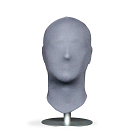 Male Head Form in Grey