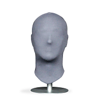 Gender-Specific Conservation Head Form Gender-Specific Conservation Head Form
