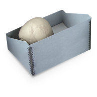 Gaylord Archival® Skeletal Remains Tray with High Back Gaylord Archival® Skeletal Remains Tray with High Back