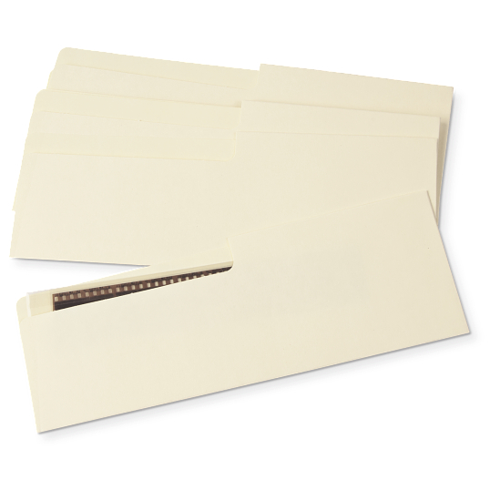 Gaylord Archival&#174; 80 lb. Unbuffered Text Negative Strip Envelopes (50-Pack)
