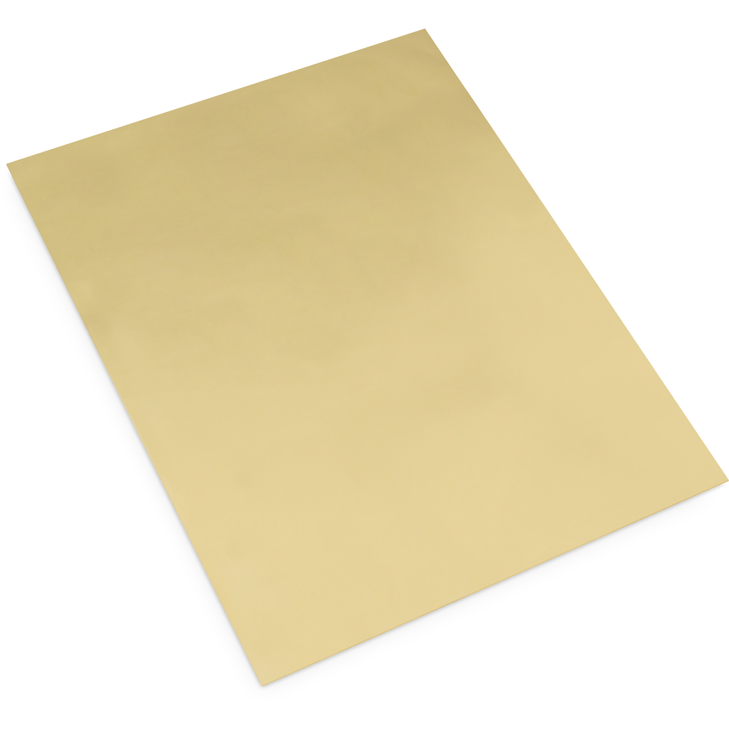 Zip-Top Bag Stiffeners (100-Pack)