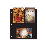 Print File® 6-Pocket Black 3-Hole Punched Album Pages (25-Pack) Print File® 6-Pocket Black 3-Hole Punched Album Pages (25-Pack)