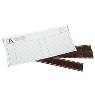 Gaylord Archival&#174; Index Cards for Negative Storage System (10-Pack)