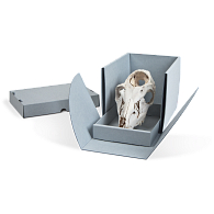 Gaylord Archival® E-flute Drop-Front Artifact Box with Slide-Out Tray Gaylord Archival® E-flute Drop-Front Artifact Box with Slide-Out Tray