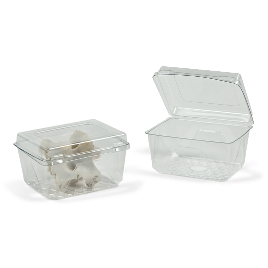 Gaylord Archival&#174; Clear PET Clamshell Flat Lid Boxes (100-Pack)