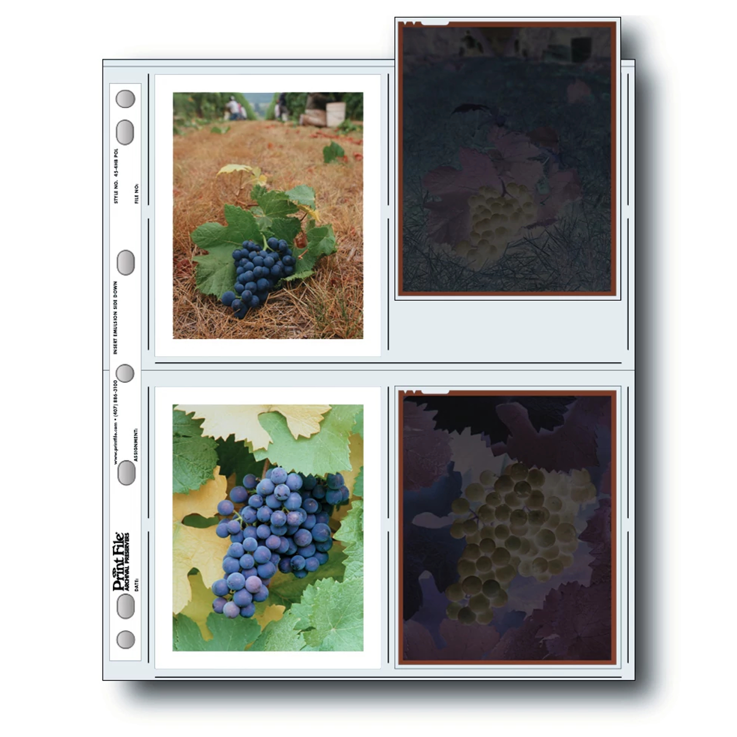 Print File® Polyethylene 4 x 5" Negative Preservers (100-Pack)