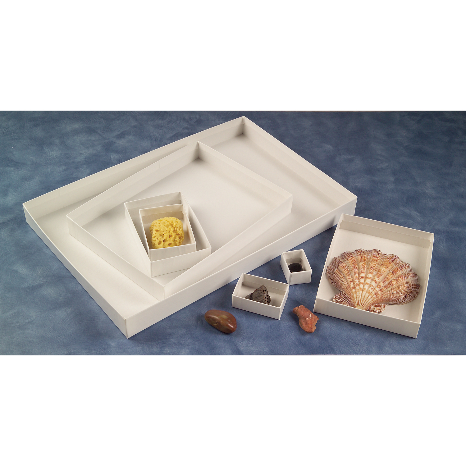 Archival Over-Wrapped 60 pt. Chipboard Specimen Trays (50-Pack)