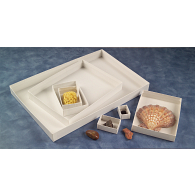 Archival Over-Wrapped 35 pt. Chipboard Specimen Trays (250-Pack) Archival Over-Wrapped 35 pt. Chipboard Specimen Trays (250-Pack)
