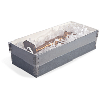 Gaylord Archival® Clear Shallow Lid Box Gaylord Archival® Clear Shallow Lid Box