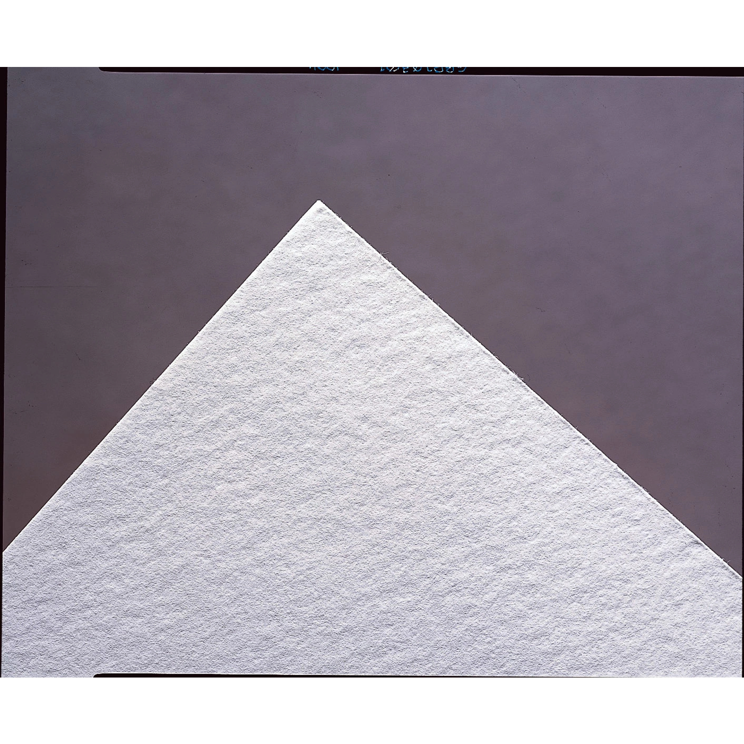 Unbuffered Blotting Paper (100-Pack)