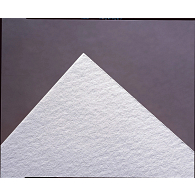 Unbuffered Blotting Paper (100-Pack) Unbuffered Blotting Paper (100-Pack)