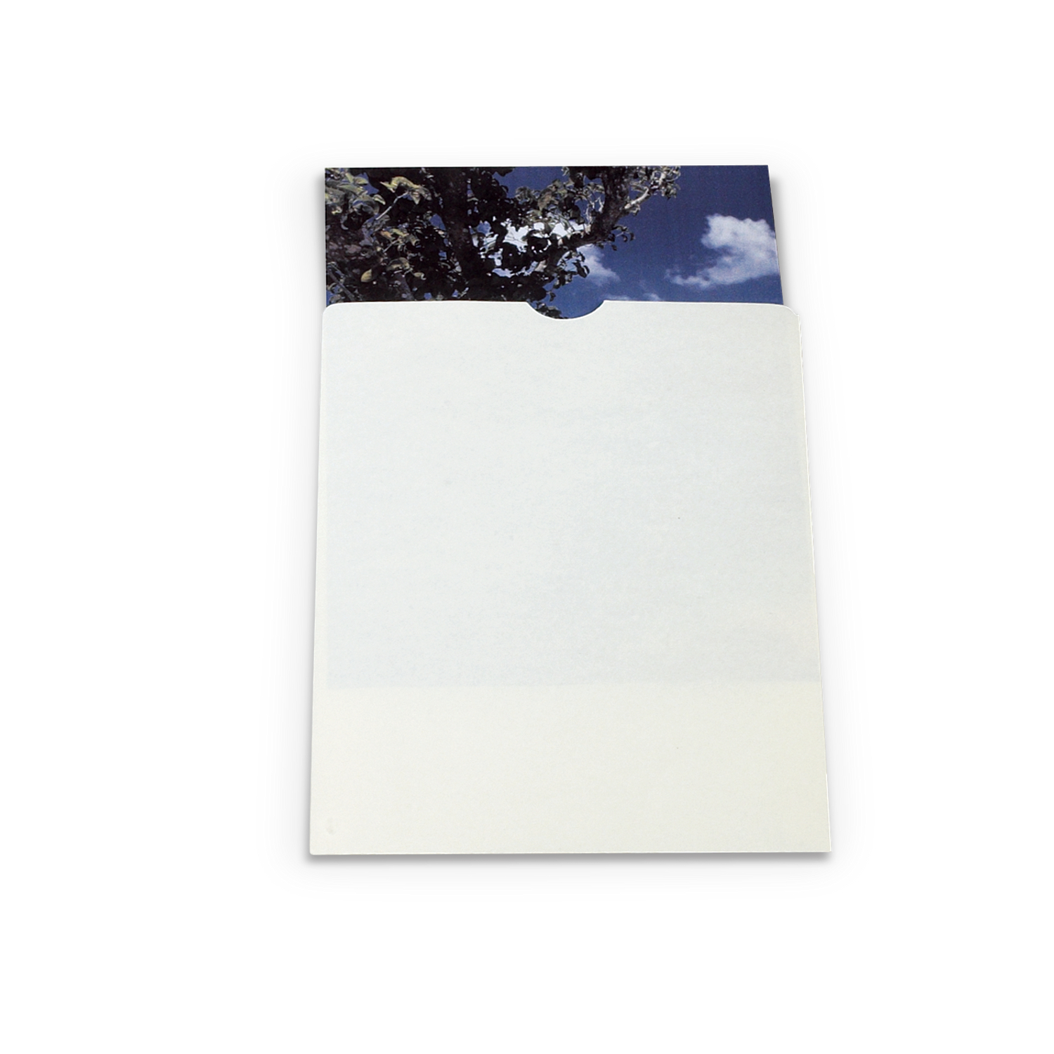 Gaylord Archival® 80 lb. Text Buffered Negative & Photo Envelopes with Thumb-Cuts (100-Pack)