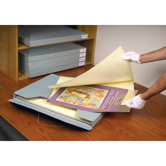 3 mil Archival Polyester L-Sleeves for Ackley Filing System (5-Pack)