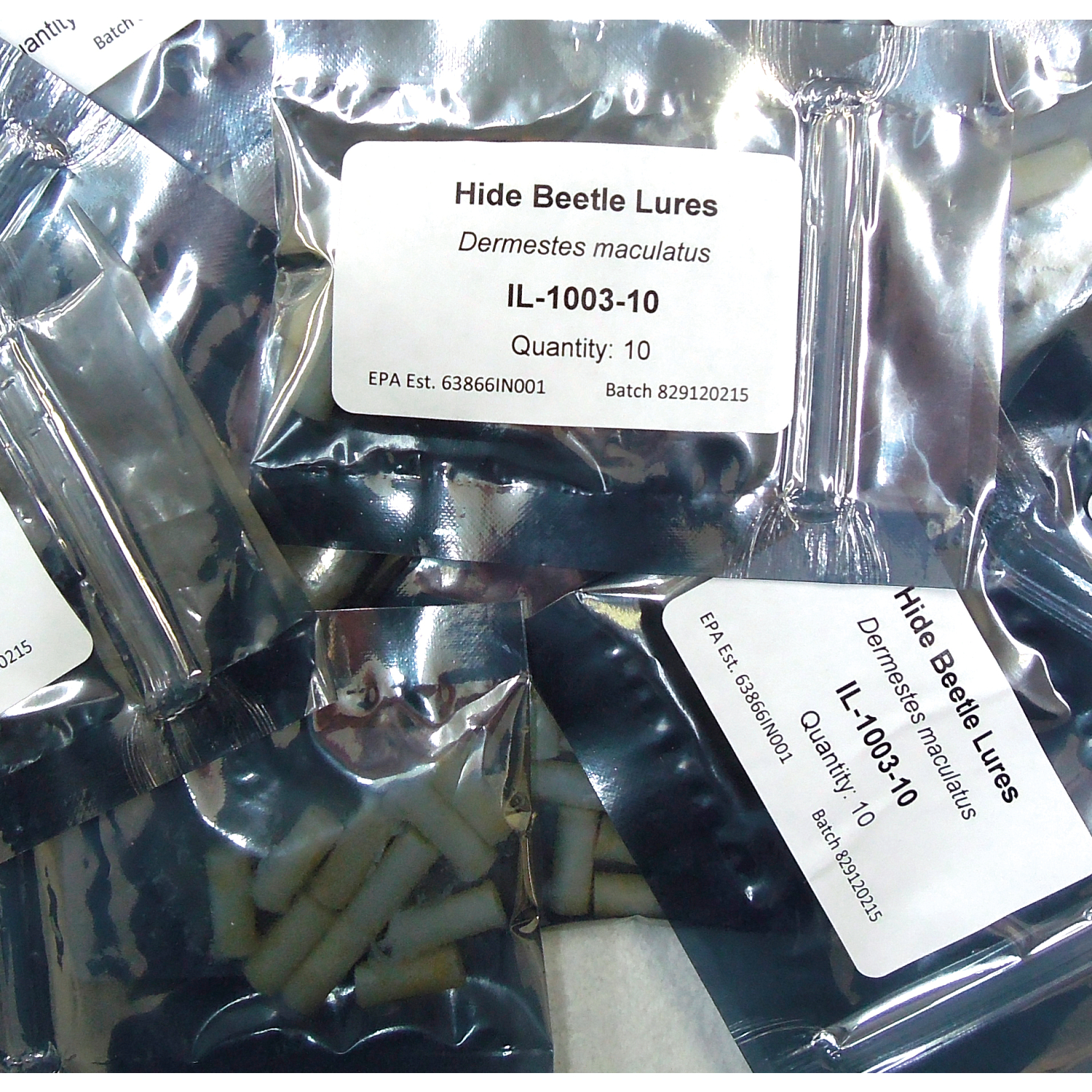 Hide Beetle Pheromone Lures (10-Pack)