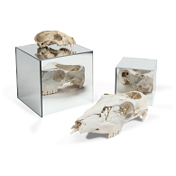 Mirrored Acrylic Display Cube Mirrored Acrylic Display Cube