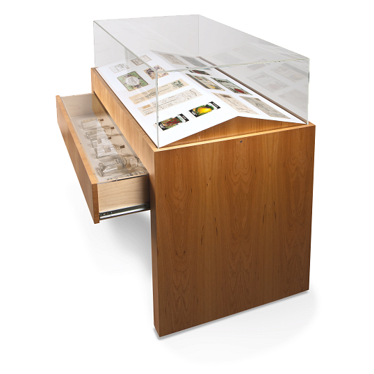 Gaylord Archival&#174; Delphi&#153; Double Slant Deck Athena Exhibit Case with Display Drawer