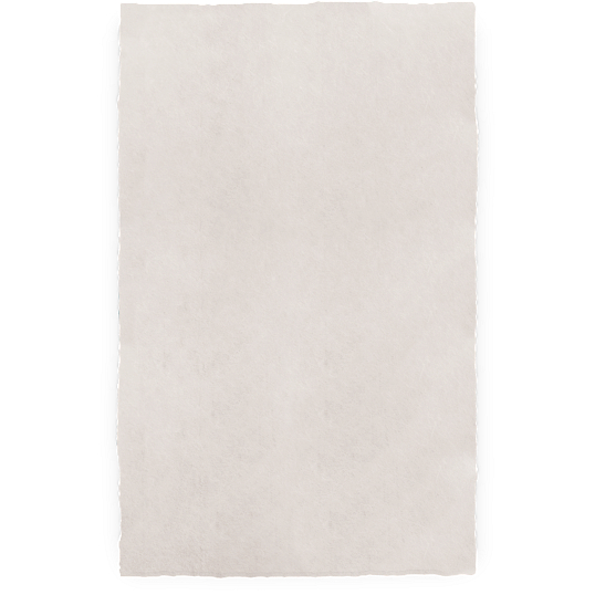 24 x 39" Handmade Sekishu Paper (5 Sheets)