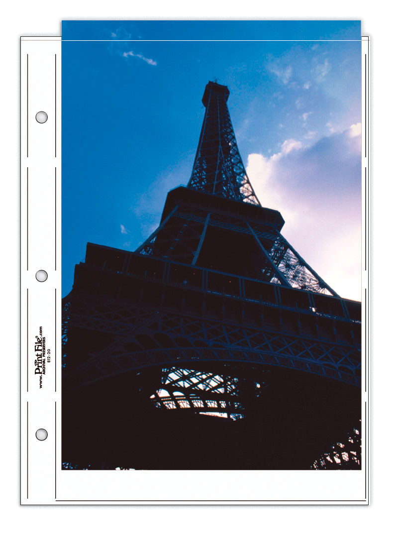 Print File® 8 mil Polypropylene Oversize Album Pages for 8 x 12" Prints (25-Pack)