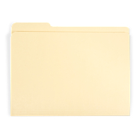 Gaylord Archival&#174; Reinforced Third-Cut Tab Letter Size File Folders (100-Pack)