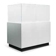 Gaylord Archival&#174; Sapphire&#153; Rectangular Paintable Pedestal Case with Humidity Control