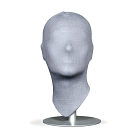 Female Head Form in Grey