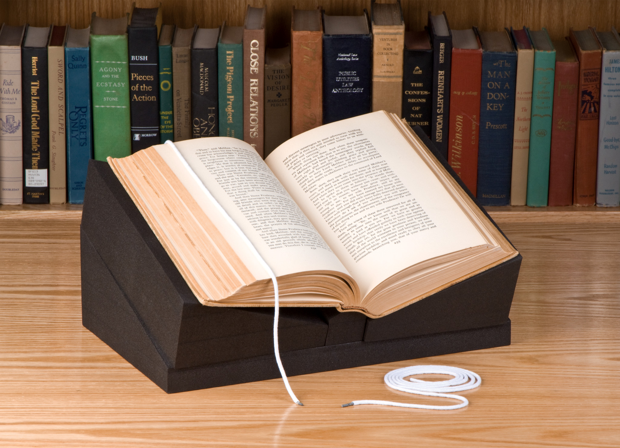 Flex Snake Weight (2-Pack)