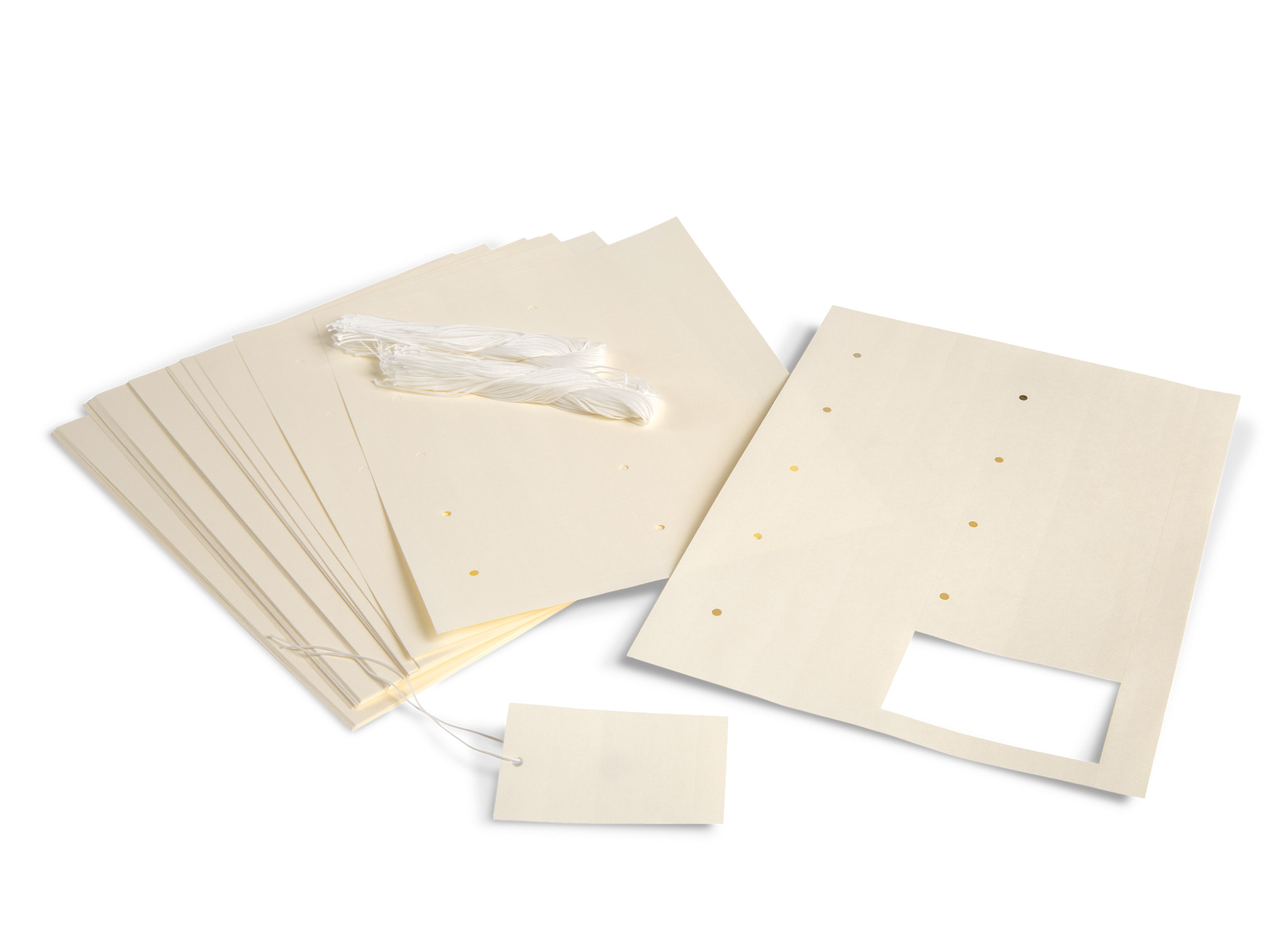 Gaylord Archival® 80 lb. Text Laser Artifact Tags (500-Pack)