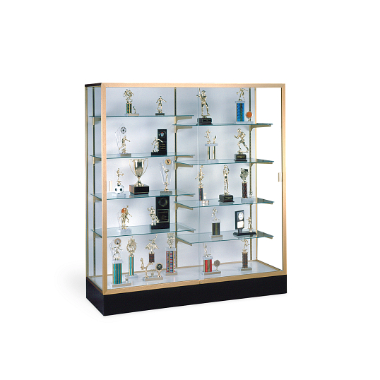 Waddell Colossus Exhibit Case with Laminate Back