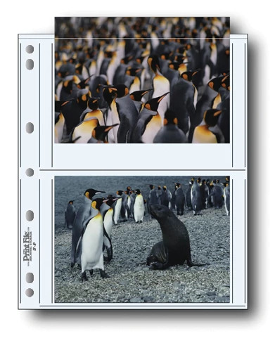 Print File® 8 mil Polypropylene Album Pages for 5 x 7" Prints (25-Pack)