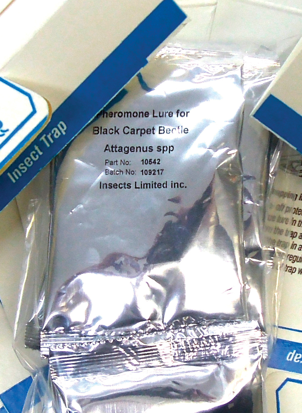 Black Carpet Beetle Pheromone Lures (10-Pack)