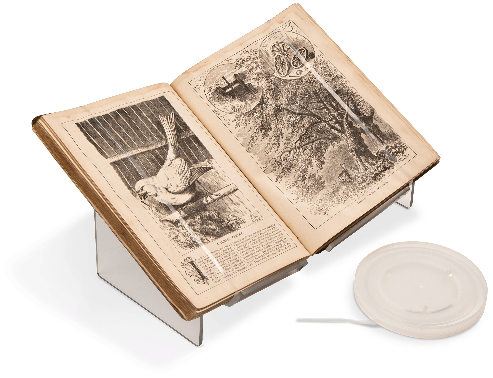 Benchmark Polyethylene Book Straps