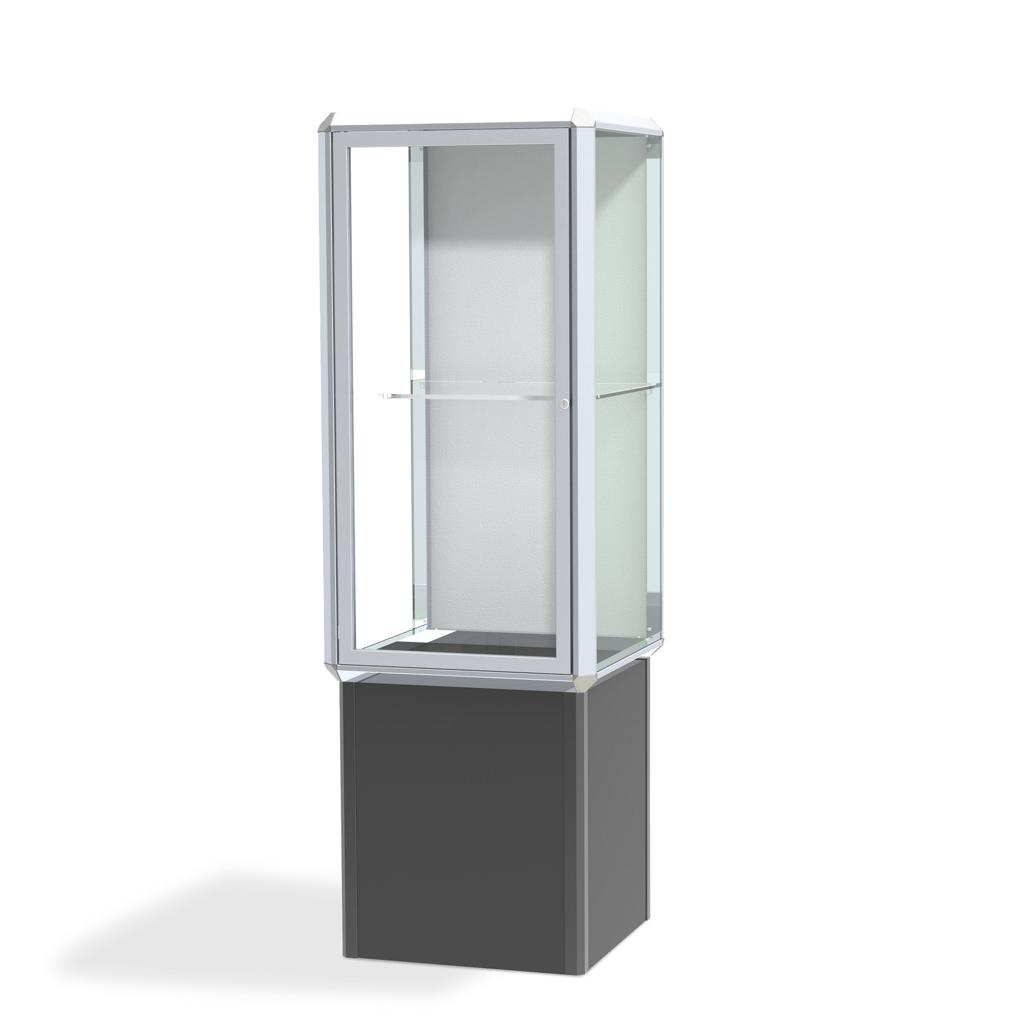 Waddell Spotlight Exhibit Case General Display Shop Exhibit Cases