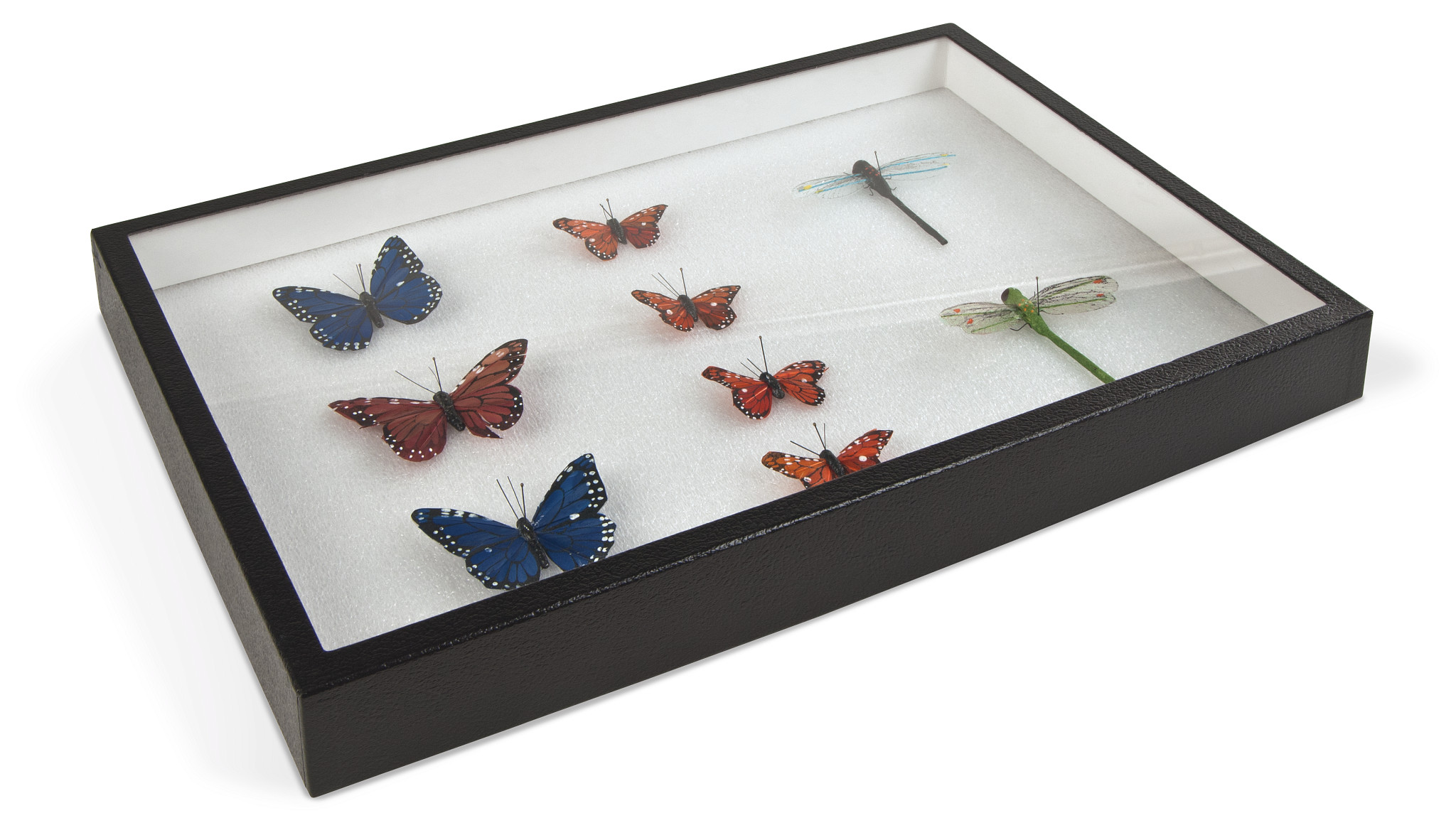 Specimen Mounting Box