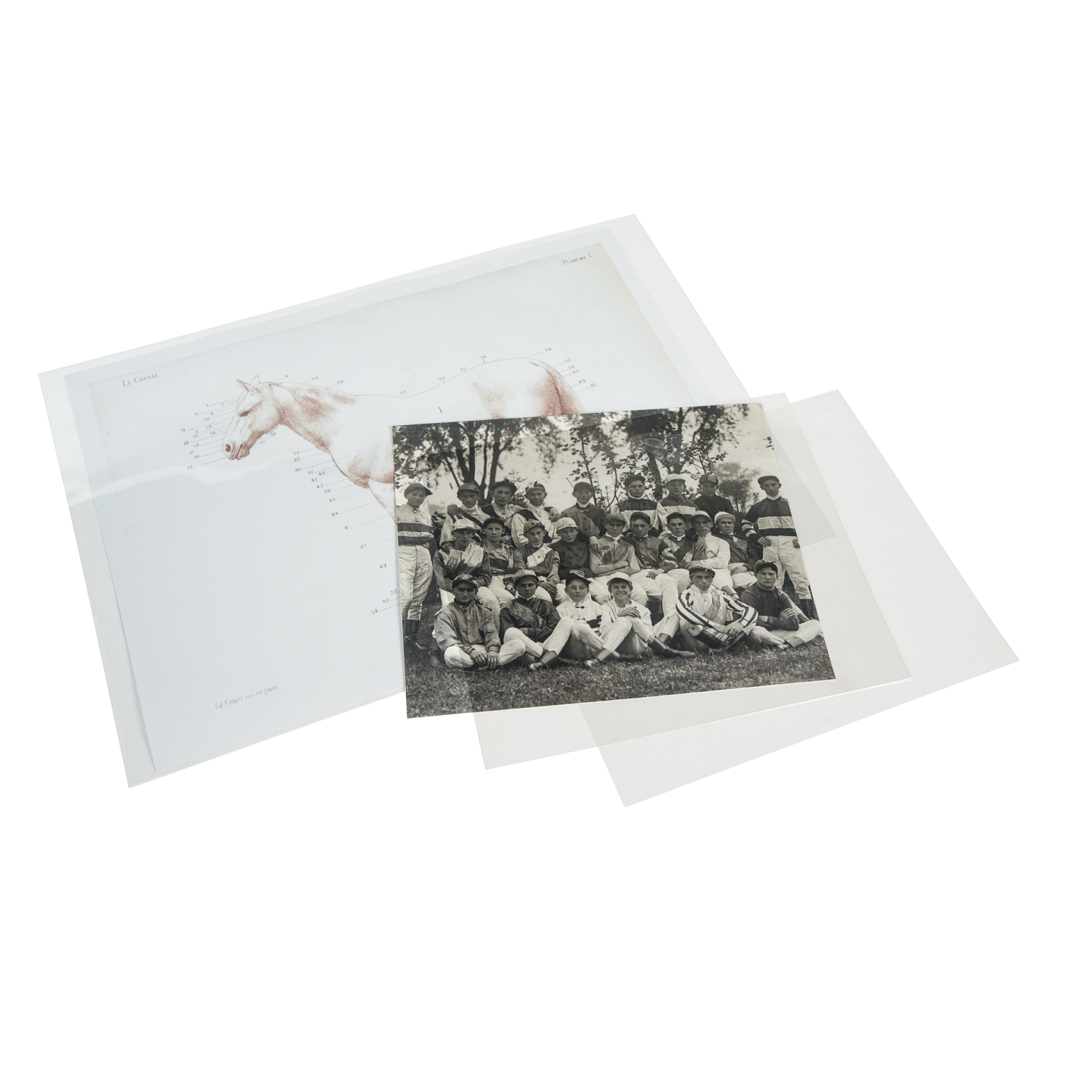 Gaylord Archival 3 mil International Sized Polyester L-Sleeves (10-Pack) | Envelopes, Sleeves & Protectors | Photo, Print & Art Preservation | Preservation | Gaylord Archival Gaylord Archival 3 mil International Sized Polyester L-Sleeves (10-Pack) | Envelopes, Sleeves & Protectors | Photo, Print & Art Preservation | Preservation | Gaylord Archival