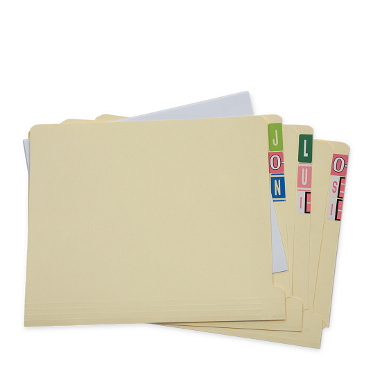 Gaylord Archival&#174; Reinforced End Tab Letter Size File Folders (100-Pack)