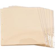 Gaylord Archival&#174; 3 mil Archival Polyester Page Protectors (25-Pack)