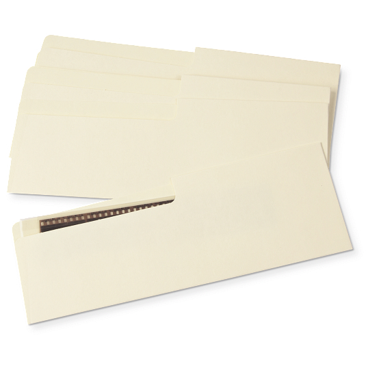 Gaylord Archival&#174; 80 lb. Buffered Text Negative Strip Envelopes (50-Pack)