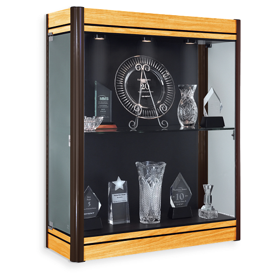Waddell Contempo Wall-Mount Exhibit Case