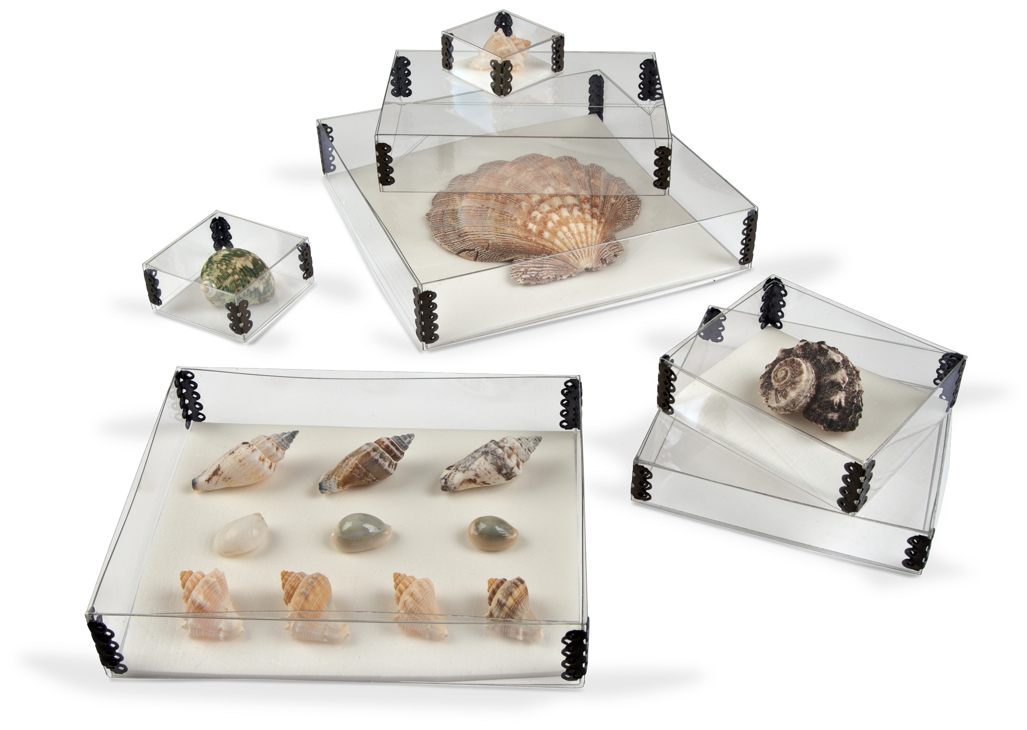 Gaylord Archival® Clear Polyester Artifact Boxes (10-Pack)